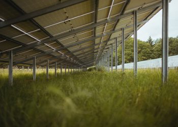 MEISER Solar – Gründungsvarianten