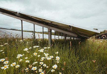 MEISER Solar - Unsere Freiland Montagesysteme 